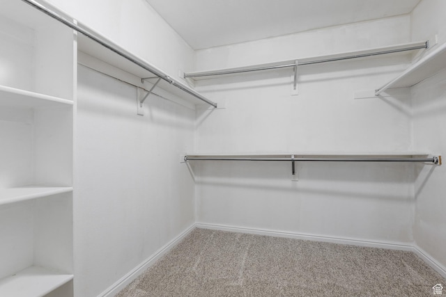948 W 540th St S, Tooele, UT 84074 - walk in closet with carpet floors