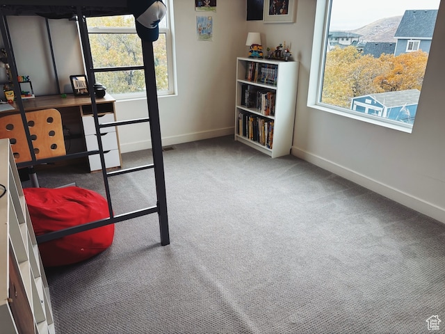 interior space featuring a wealth of natural light and carpet