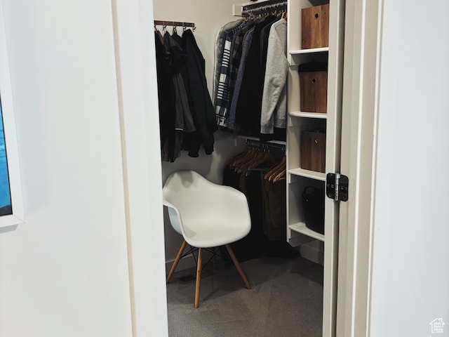 spacious closet with carpet floors