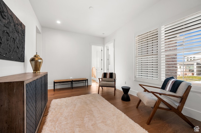 living area featuring wood-type flooring