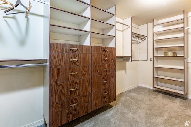 6435 S 1610 E, Murray, UT 84121 - spacious closet with carpet flooring