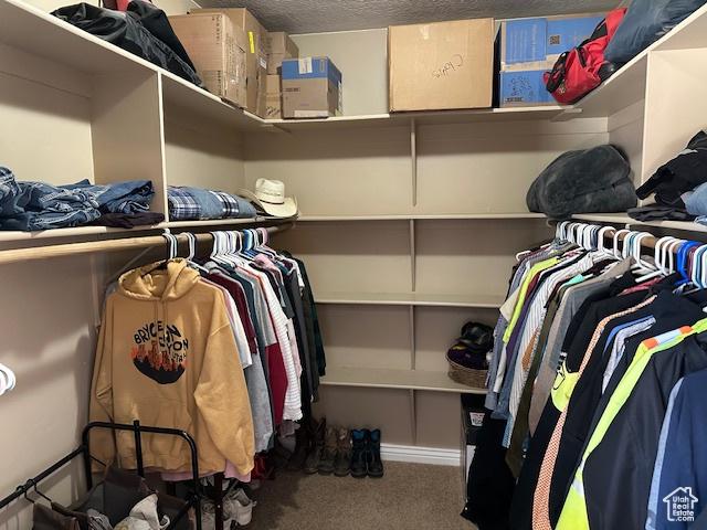 3741 W 5200 N, Cedar City, UT 84721 - walk in closet featuring carpet