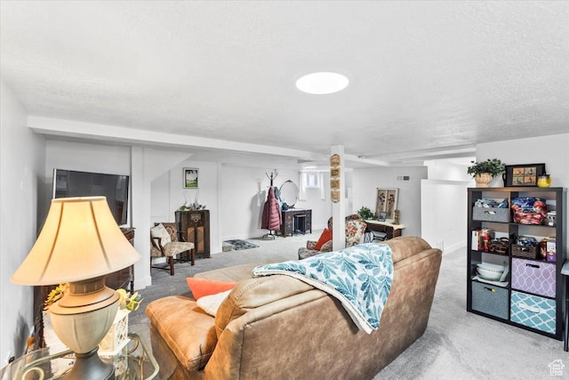 2034 S Laine Ave E, Ogden, UT 84401 - living room featuring carpet flooring and a textured ceiling
