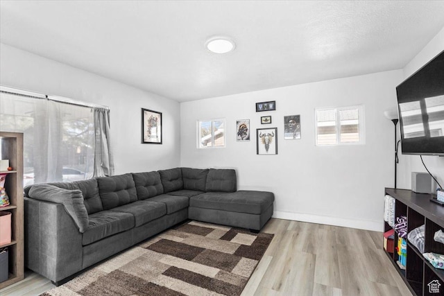 2034 S Laine Ave E, Ogden, UT 84401 - living room featuring wood finished floors and baseboards