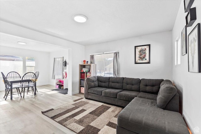2034 S Laine Ave E, Ogden, UT 84401 - living room featuring light wood-style flooring and baseboards