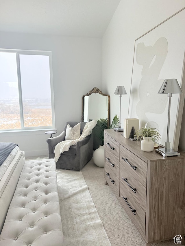 577 N Hawthorn Dr Unit 29, Salem, UT 84653 - bedroom with light colored carpet