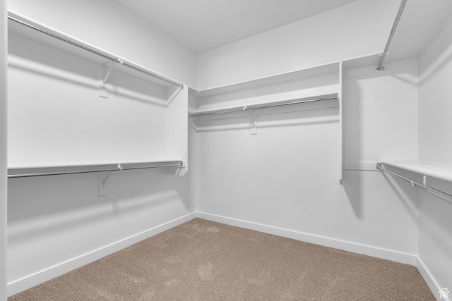 1849 S 2475 W, West Haven, UT 84401 - spacious closet with carpet floors