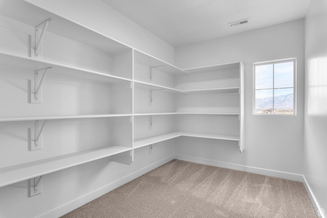 1849 S 2475 W, West Haven, UT 84401 - view of pantry