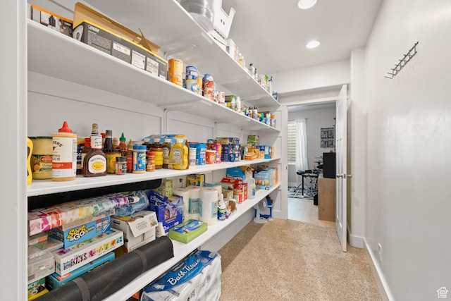 6443 W Early Bird Dr, South Jordan, UT 84009 - view of storage area