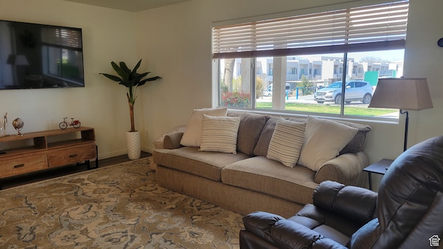 living room featuring hardwood / wood-style floors