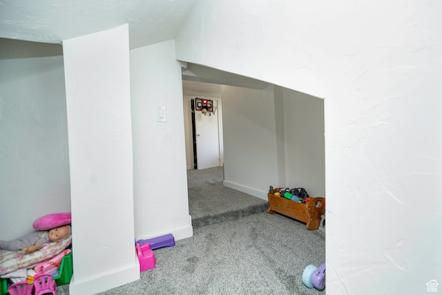 rec room with carpet floors