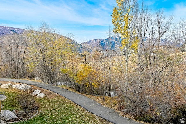 3521 N Fox Run Unit 811, Eden, UT 84310 - view of mountain backdrop