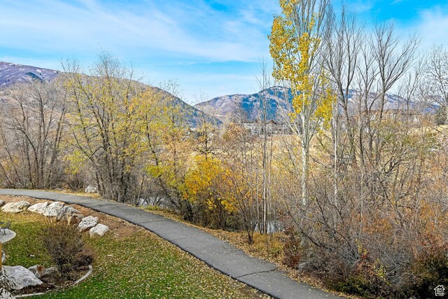 3521 N Fox Run Unit 811, Eden, UT 84310 - photo 28