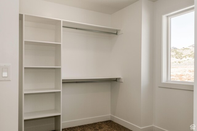 1342 N 4075 W Unit 3A, Vernal, UT 84078 - view of spacious closet