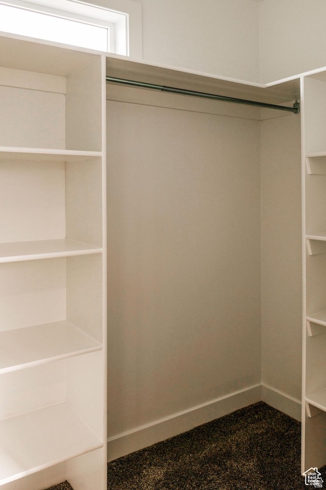 1462 N 4075 W Unit 2, Vernal, UT 84078 - view of spacious closet