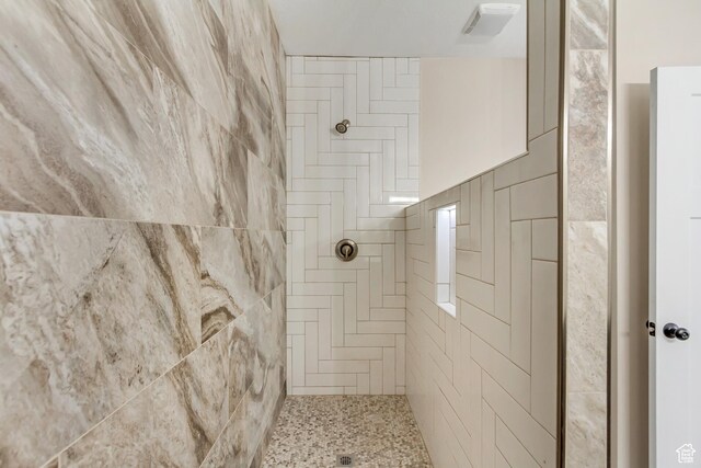 408 Rigdon St, Grantsville, UT 84029 - bathroom with tiled shower