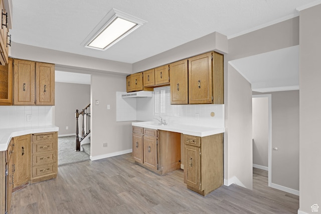 4866 Adams Ave, South Ogden, UT 84403 - kitchen featuring sink, light wood-type flooring, and backsplash