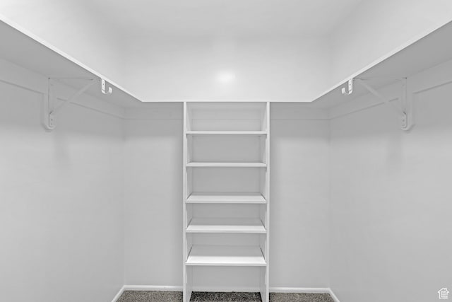 4866 Adams Ave, South Ogden, UT 84403 - walk in closet with carpet flooring