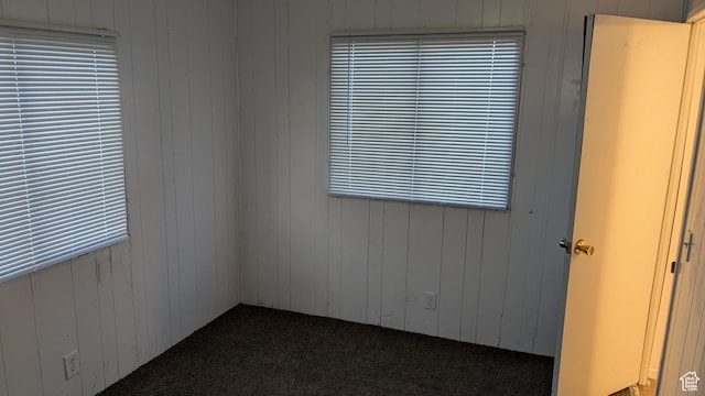 18250 N 4400 W, Fielding, UT 84311 - empty room with carpet and wooden walls