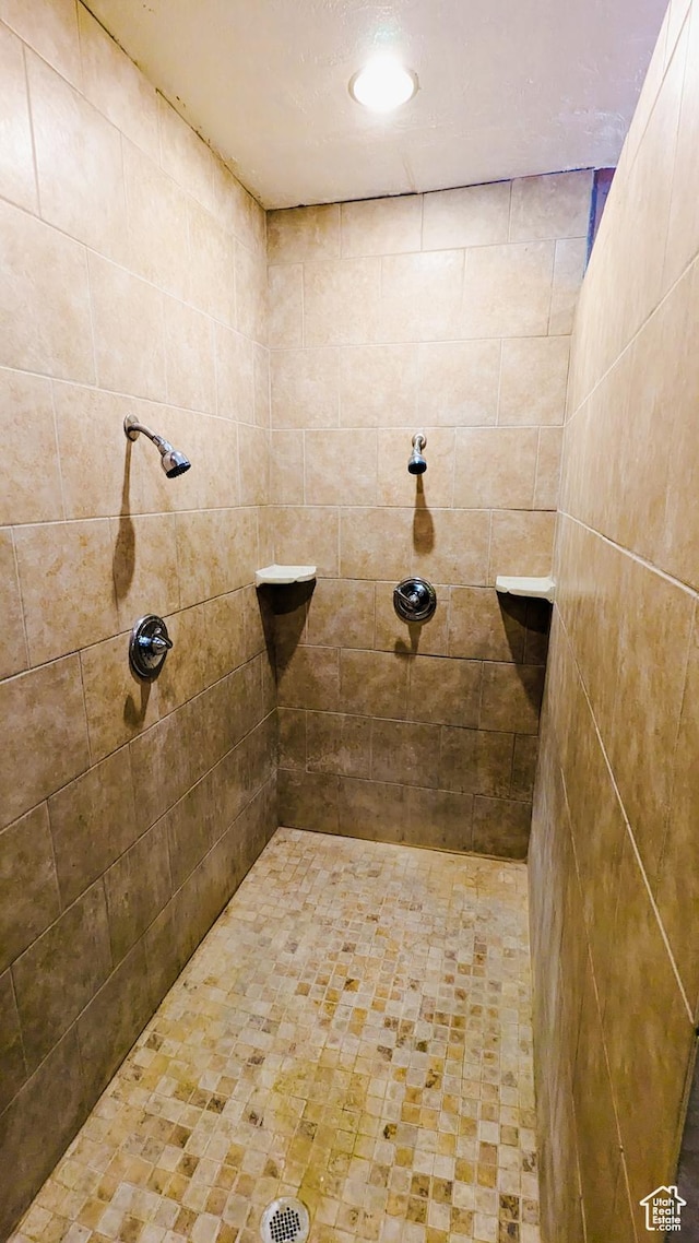 18250 N 4400 W, Fielding, UT 84311 - bathroom featuring a tile shower