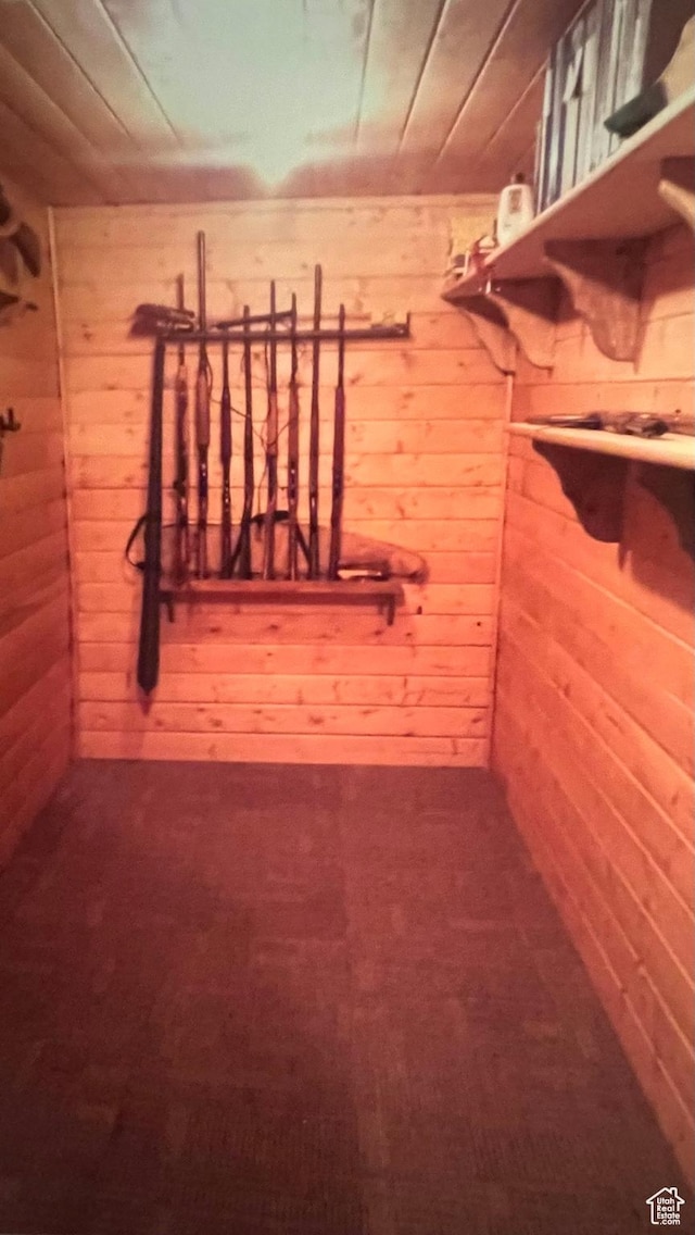 1126 S Valley View Dr W, Santaquin, UT 84655 - view of storage