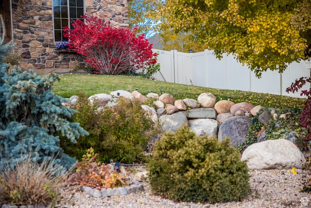 view of yard