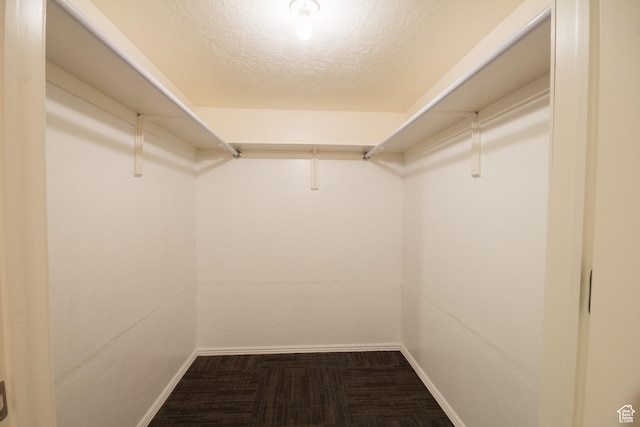 1126 S Valley View Dr W, Santaquin, UT 84655 - spacious closet with carpet floors