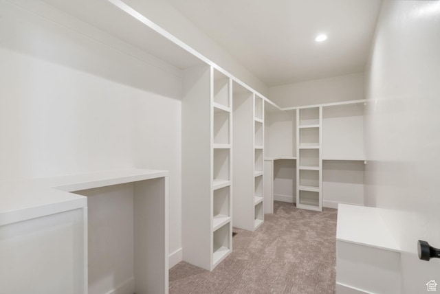spacious closet featuring carpet flooring