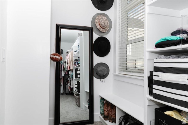 615 N 750 E, Hyde Park, UT 84318 - mudroom with carpet floors