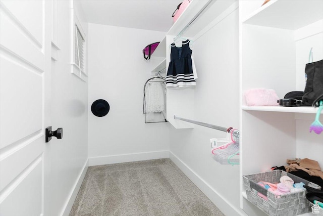 615 N 750 E, Hyde Park, UT 84318 - spacious closet featuring carpet floors