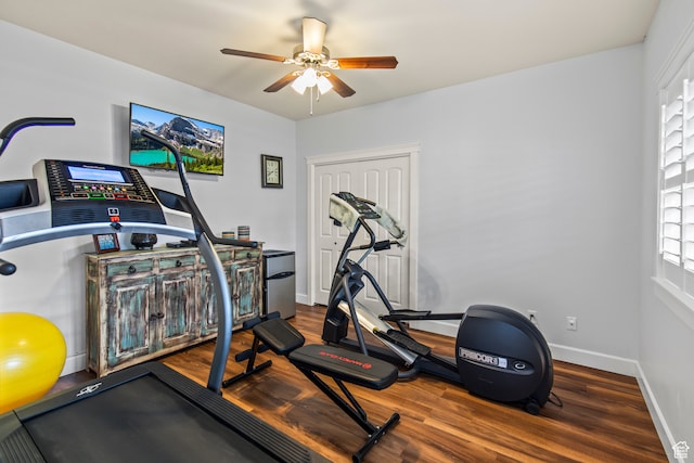 workout room featuring ceiling fan and wood-type flooring