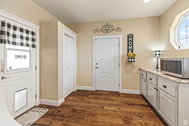foyer entrance with dark hardwood / wood-style floors