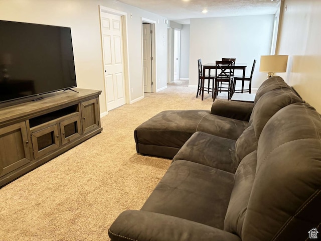 341 S 3rd W, Soda Springs, ID 83276 - living room with light colored carpet