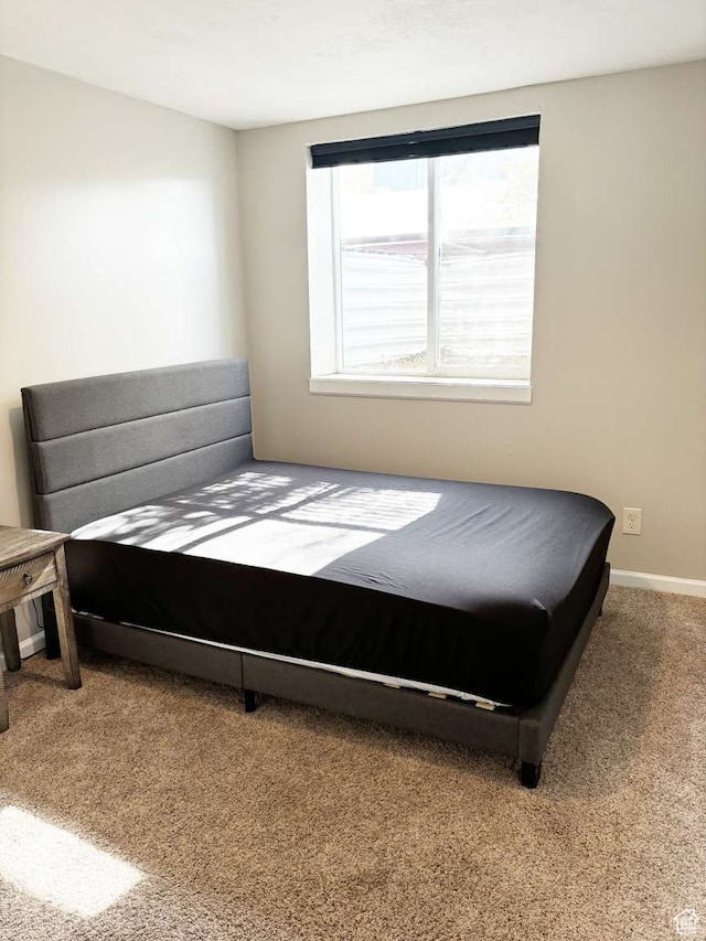 341 S 3rd W, Soda Springs, ID 83276 - view of carpeted bedroom