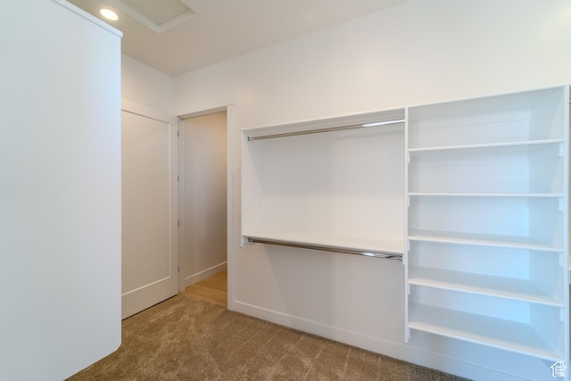 3092 E 2110th St S, St George, UT 84790 - spacious closet featuring carpet flooring