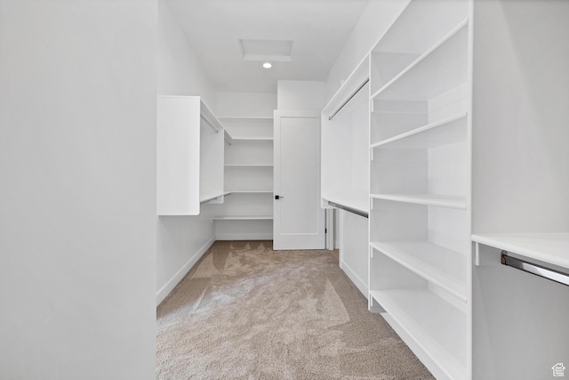 3092 E 2110th St S, St George, UT 84790 - walk in closet featuring carpet floors and attic access