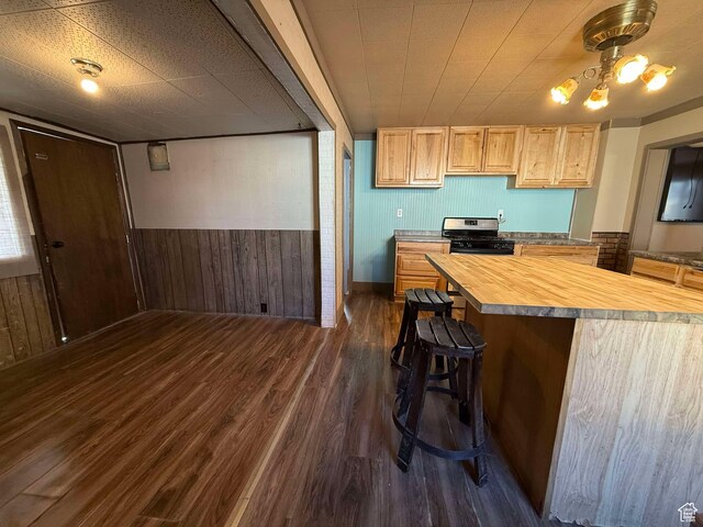 kitchen with light brown cabinetry, butcher block counters, dark hardwood / wood-style flooring, range with gas cooktop, and wood walls
