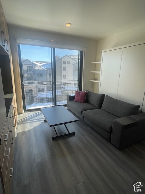 2670 W Canyons Resort Dr Unit 205, Park City, UT 84098 - living room featuring dark wood-type flooring and a wealth of natural light