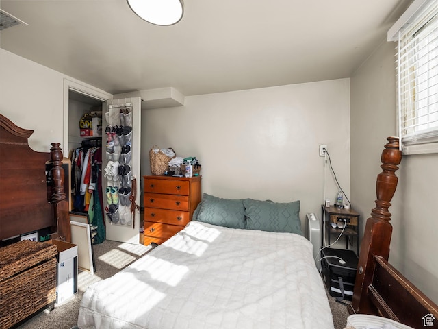 339 S 600 W, Provo, UT 84601 - bedroom featuring carpet floors, a closet, and a spacious closet