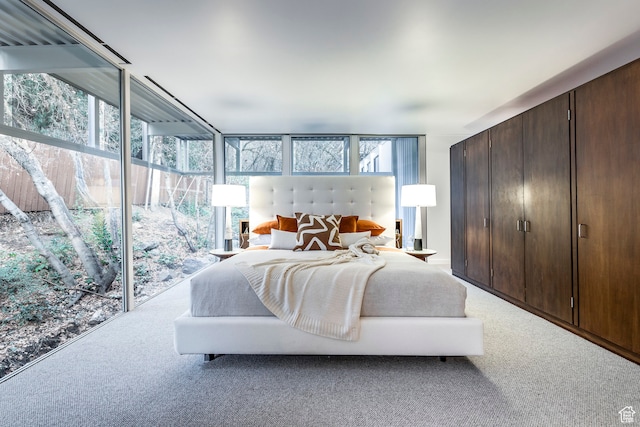 4345 S Zarahemla Dr, Salt Lake City, UT 84124 - bedroom featuring carpet flooring and multiple windows