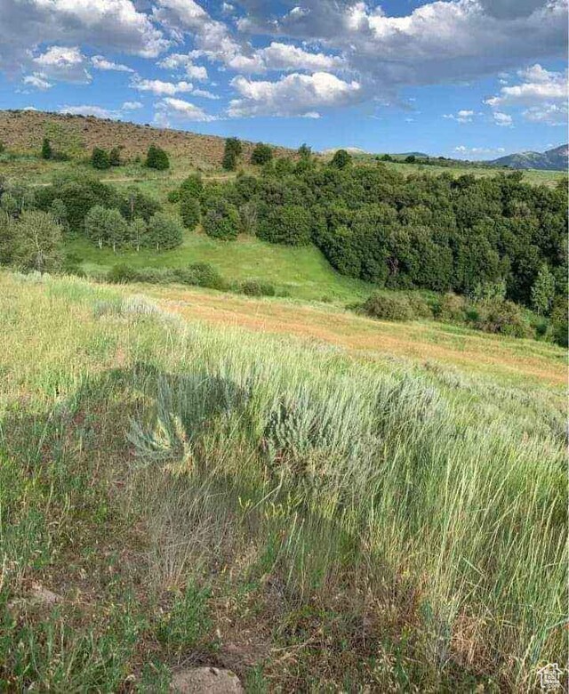 587 E Sawmill Creek Rd N, Inkom, ID 83245