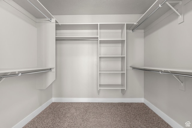 2388 E Horizon Dr Unit 907, Eagle Mountain, UT 84005 - walk in closet featuring carpet flooring