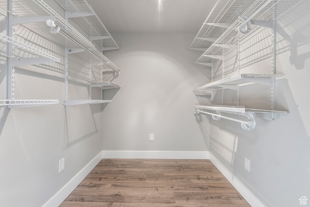 spacious closet with wood-type flooring