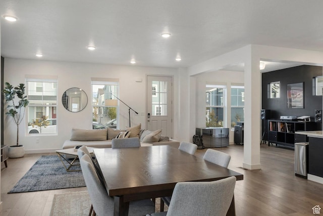 dining area featuring hardwood / wood-style flooring