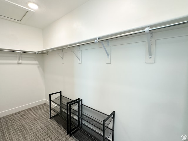 walk in closet featuring carpet floors