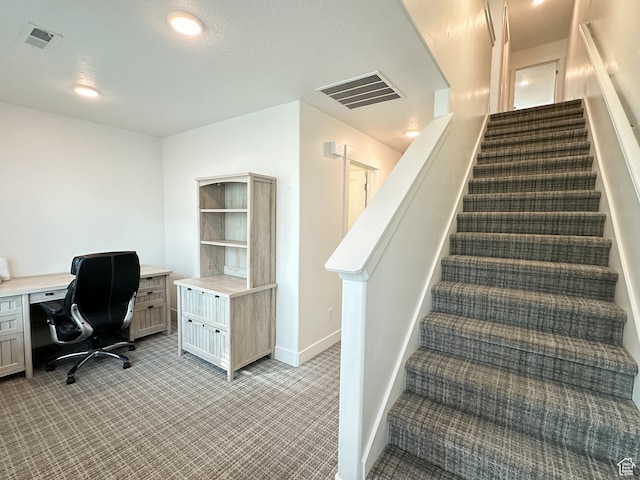 stairs with carpet flooring