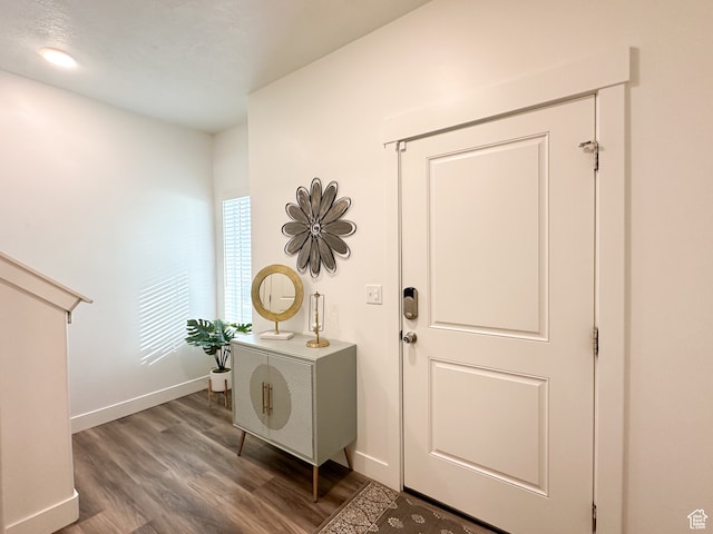 entryway with wood-type flooring