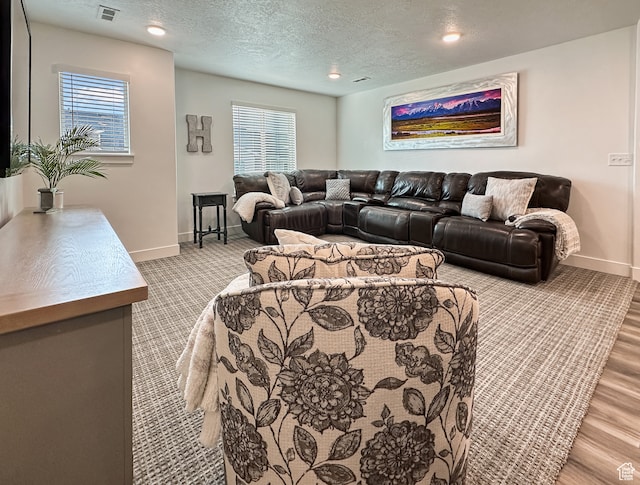 living room with a textured ceiling and light hardwood / wood-style flooring