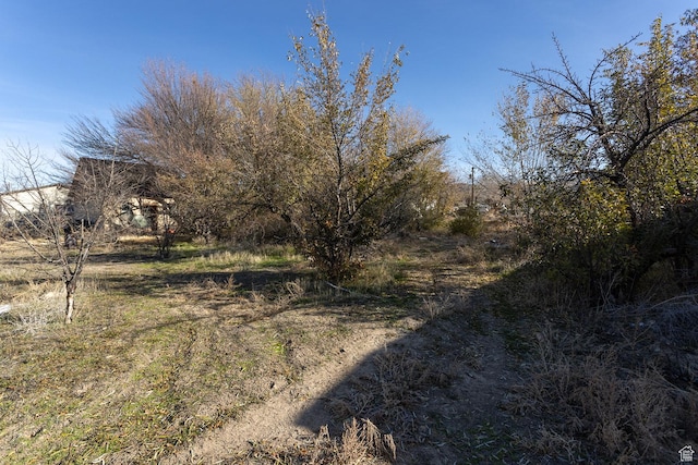 215 N 300 W, Salina, UT 84654 - view of nature
