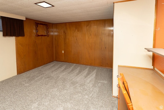 215 N 300 W, Salina, UT 84654 - finished basement with carpet and wood walls